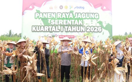 Panen Raya Jagung, Polres Malang Perkuat Ketahanan Pangan Daerah