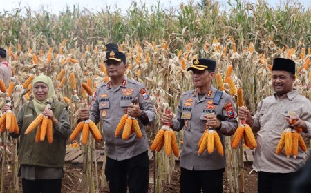 Panen Raya Jagung di Banyuwangi, Kapolda Jatim dan Gubernur Komitmen Penuhi Target Pangan