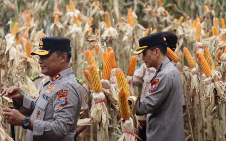 Kapolda Jatim dan Gubernur Dorong Produktivitas Jagung di Banyuwangi
