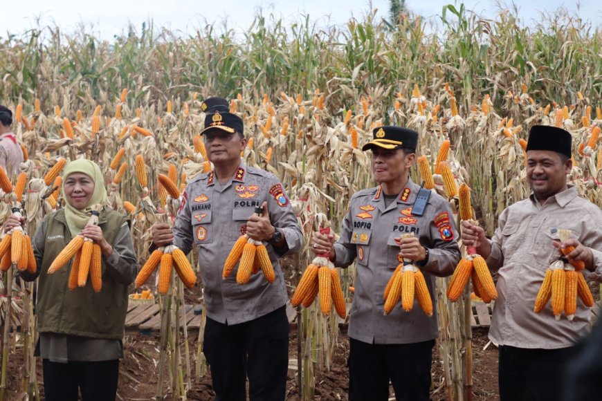 Panen Raya Jagung di Banyuwangi, Kapolda Jatim dan Gubernur Komitmen Penuhi Target Pangan