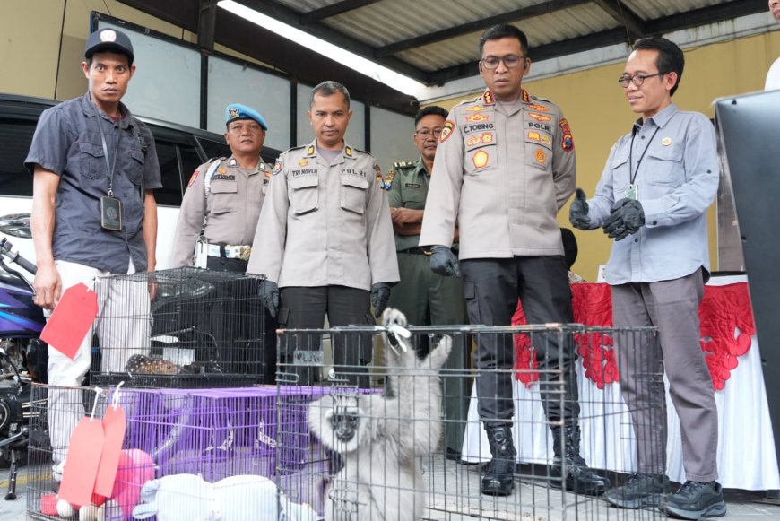 Kasus Satwa Langka Jaringan Internasional Diungkap Polresta Sidoarjo