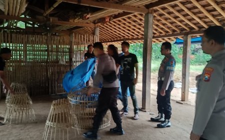 Polres Ponorogo Lakukan Penertiban, Judi Sabung Ayam Dibubarkan