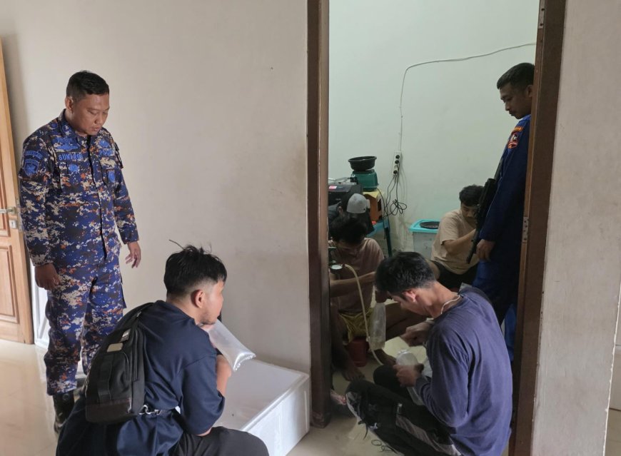Lima Pelaku Penyelundupan Benih Lobster Diamankan di Serang