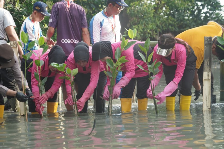 Mangrove Ditanam, Lahan Kritis Dipulihkan YKB Tanjung Perak