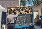 Kasus Pembalakan Hutan Terbongkar di Wilayah Malang