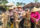 Polres Malang Dukung Ketahanan Pangan Nasional Lewat Pendampingan dan Pemanfaatan Lahan