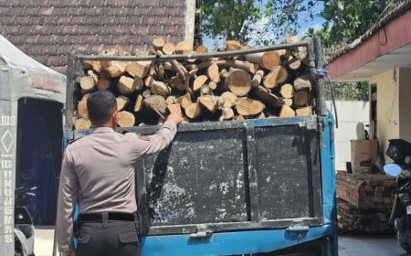 Pembalakan Hutan Terungkap, Polisi Amankan Truk Bermuatan Kayu