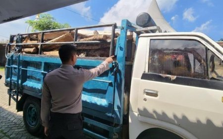 Polisi Amankan Truk Bermuatan Kayu dalam Kasus Pembalakan Hutan