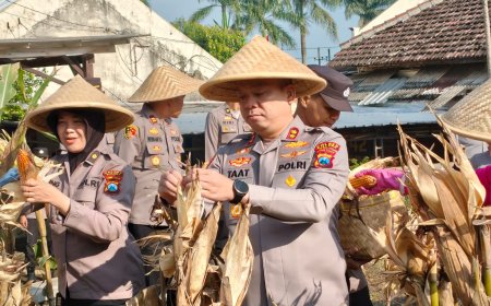 Polres Malang Panen Raya 1 Ton Jagung, Dukung Program Ketahanan Pangan Nasional