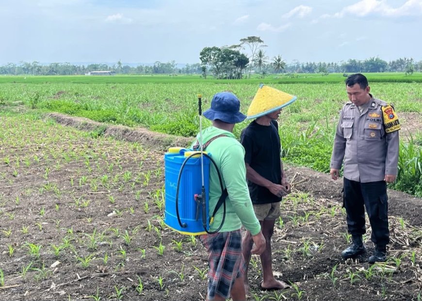 Polres Malang Perkuat Peran di Sektor Pangan, Dukung Program Nasional